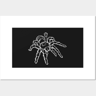 Tarantula with White Outline Posters and Art